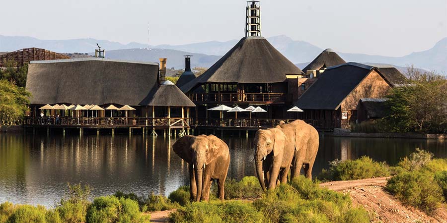 Staying at a unique lodge in Oudtshoorn